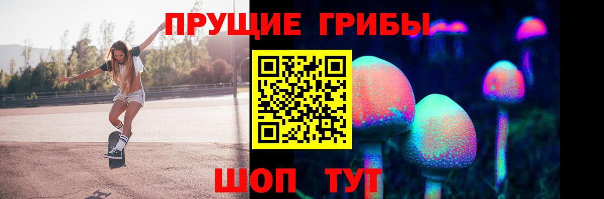 купить наркоту  Галлюциногенные грибы прущие грибы  Псилоцибиновые грибы мицелий  Вход с VPN  Ленинск-Кузнецкий 